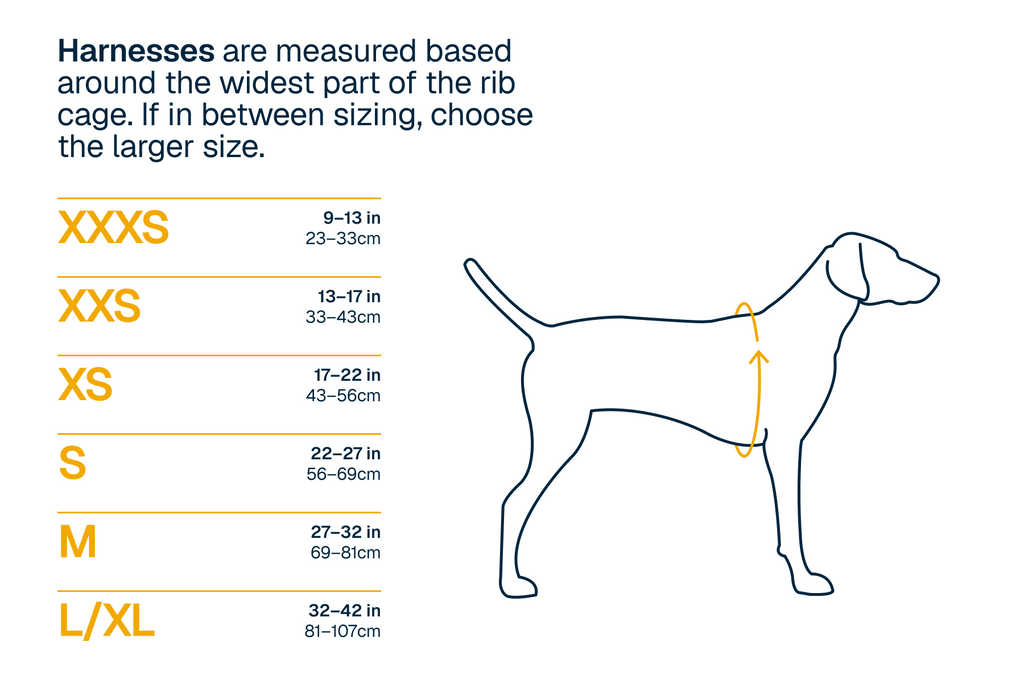 Deep Teal (444)